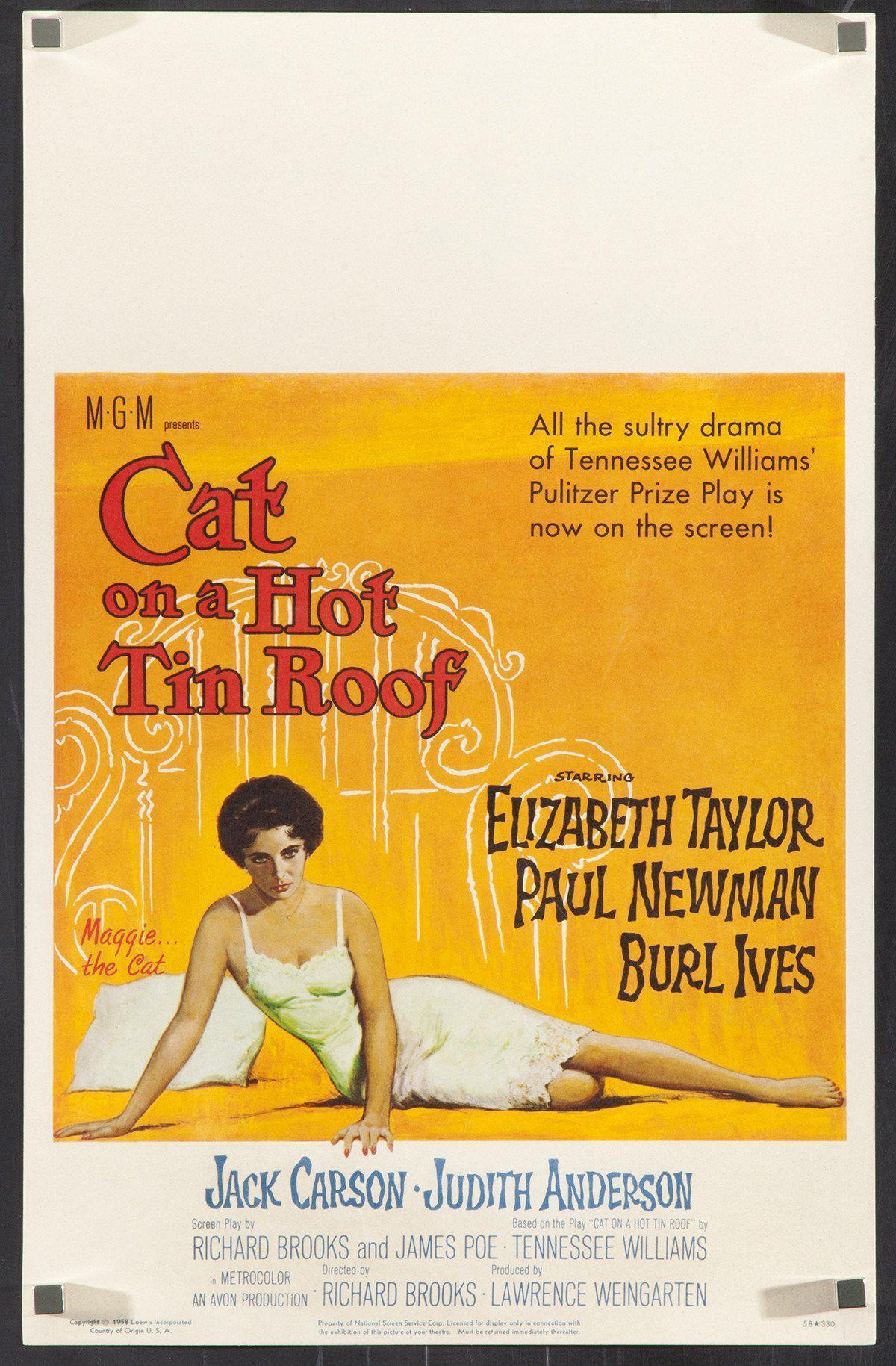 Pin on Cat on a Hot Tin Roof