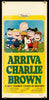 A Boy Named Charlie Brown Original Vintage Movie Poster
