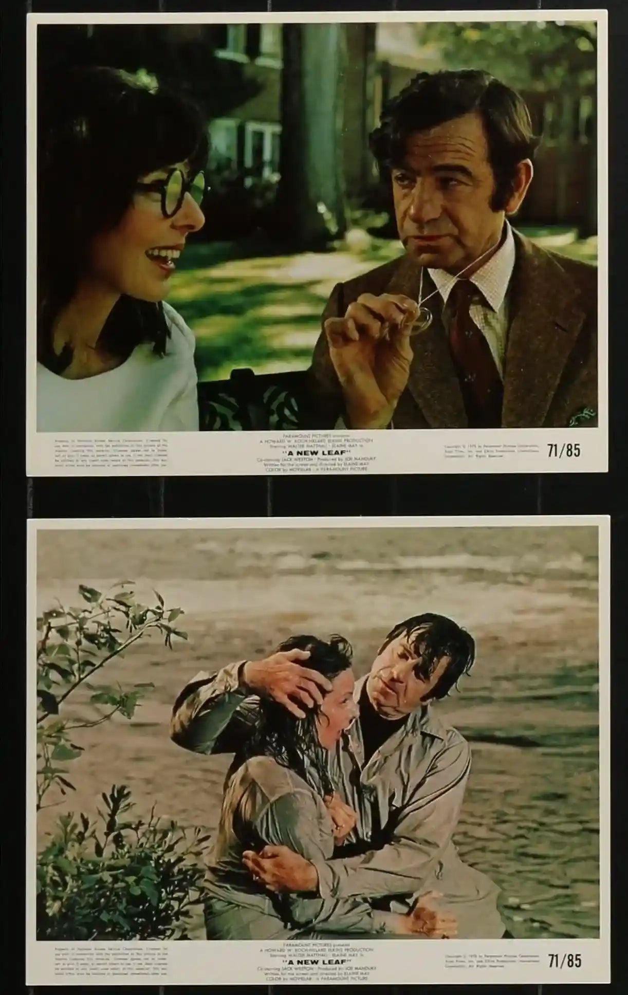 A New Leaf Original Vintage Movie Poster