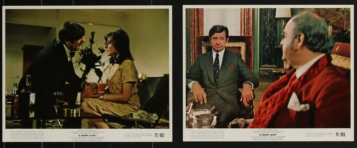 A New Leaf Original Vintage Movie Poster