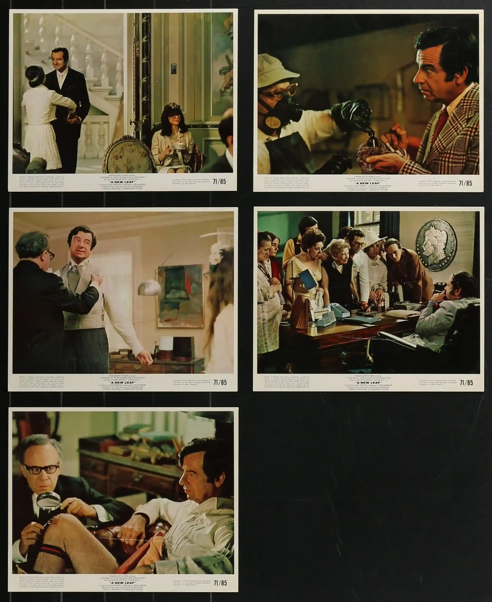 A New Leaf Original Vintage Movie Poster