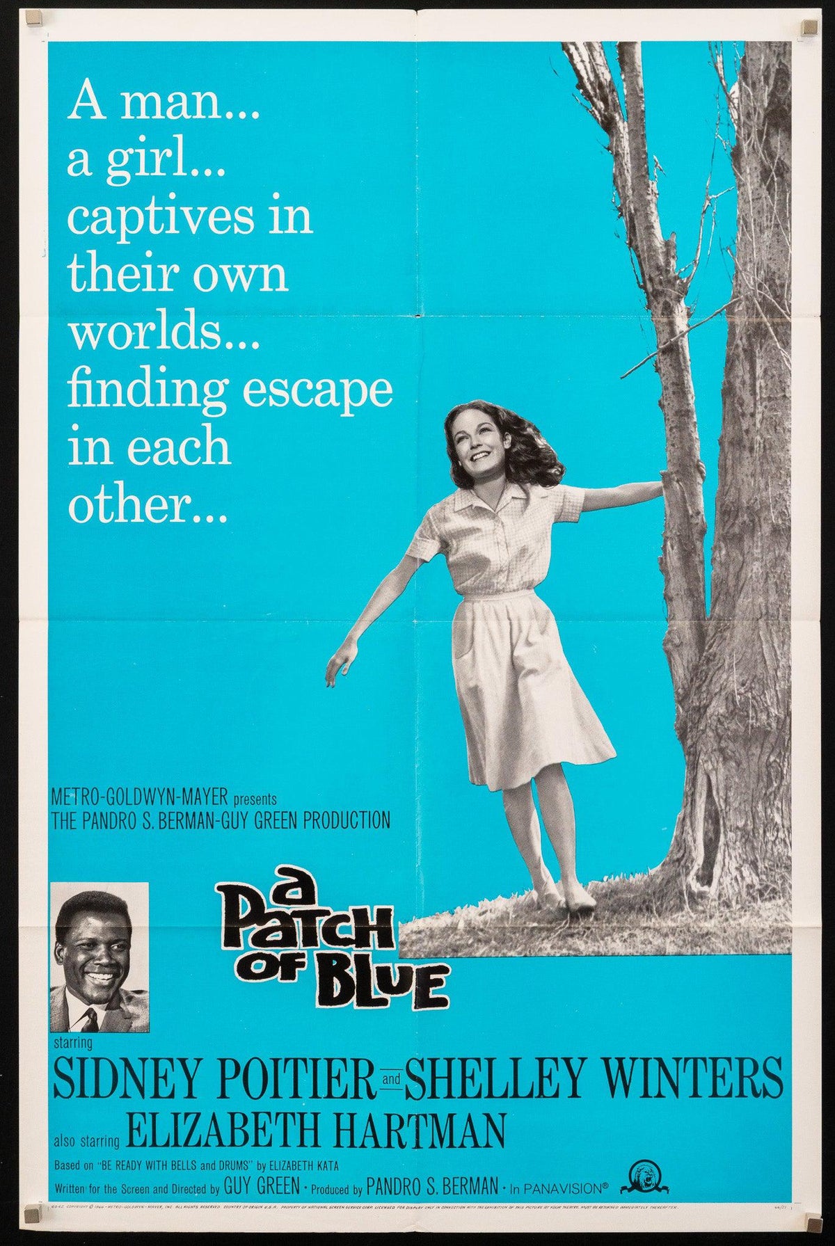 A Patch of Blue 1 Sheet (27x41) Original Vintage Movie Poster