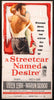 A Streetcar Named Desire 3 Sheet (41x81) Original Vintage Movie Poster