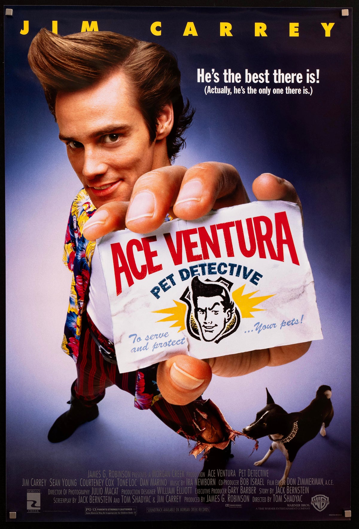 Ace Ventura: Pet Detective 1 Sheet (27x41) Original Vintage Movie Poster