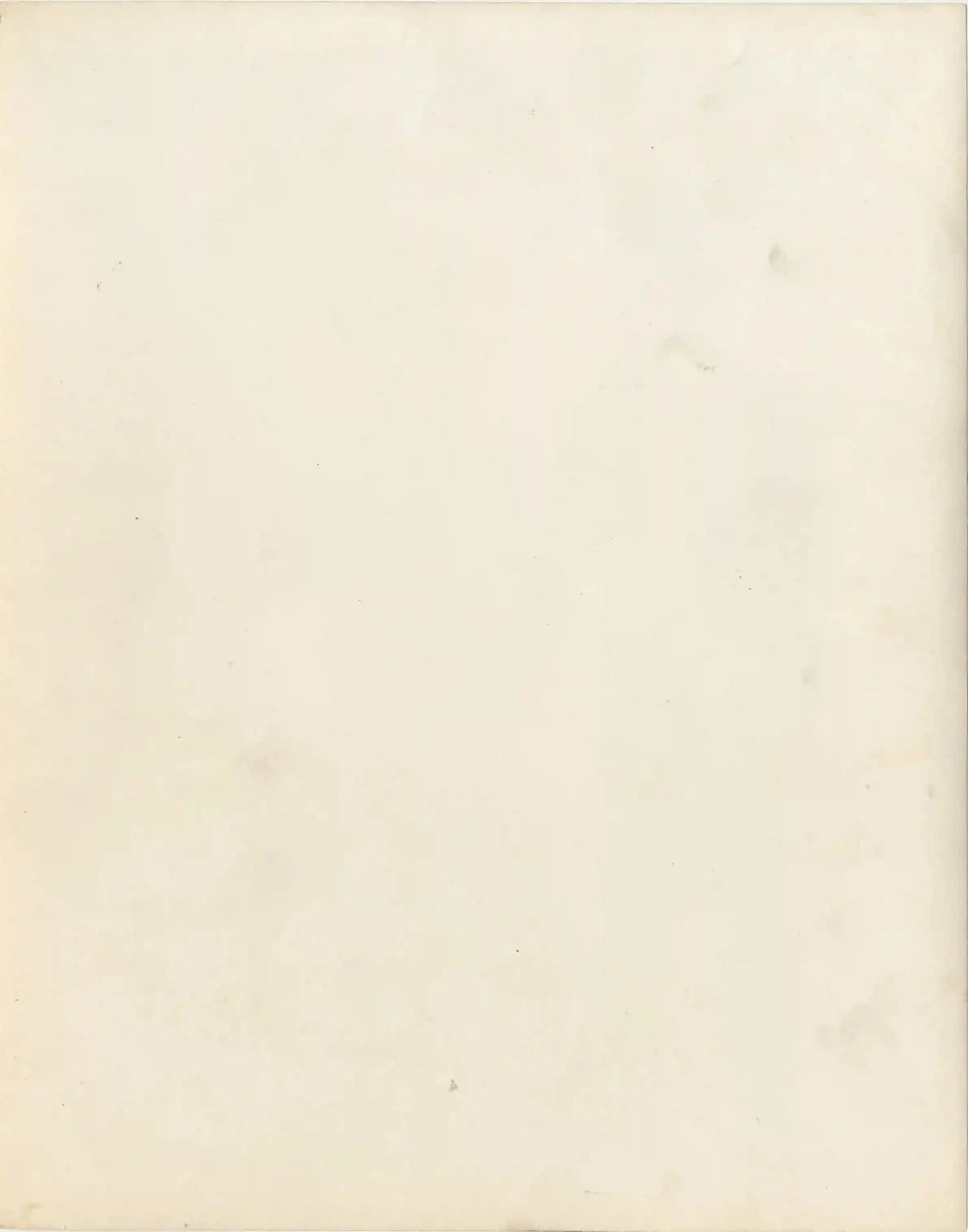 After the Thin Man Original Vintage Movie Poster