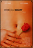 American Beauty Original Vintage Movie Poster