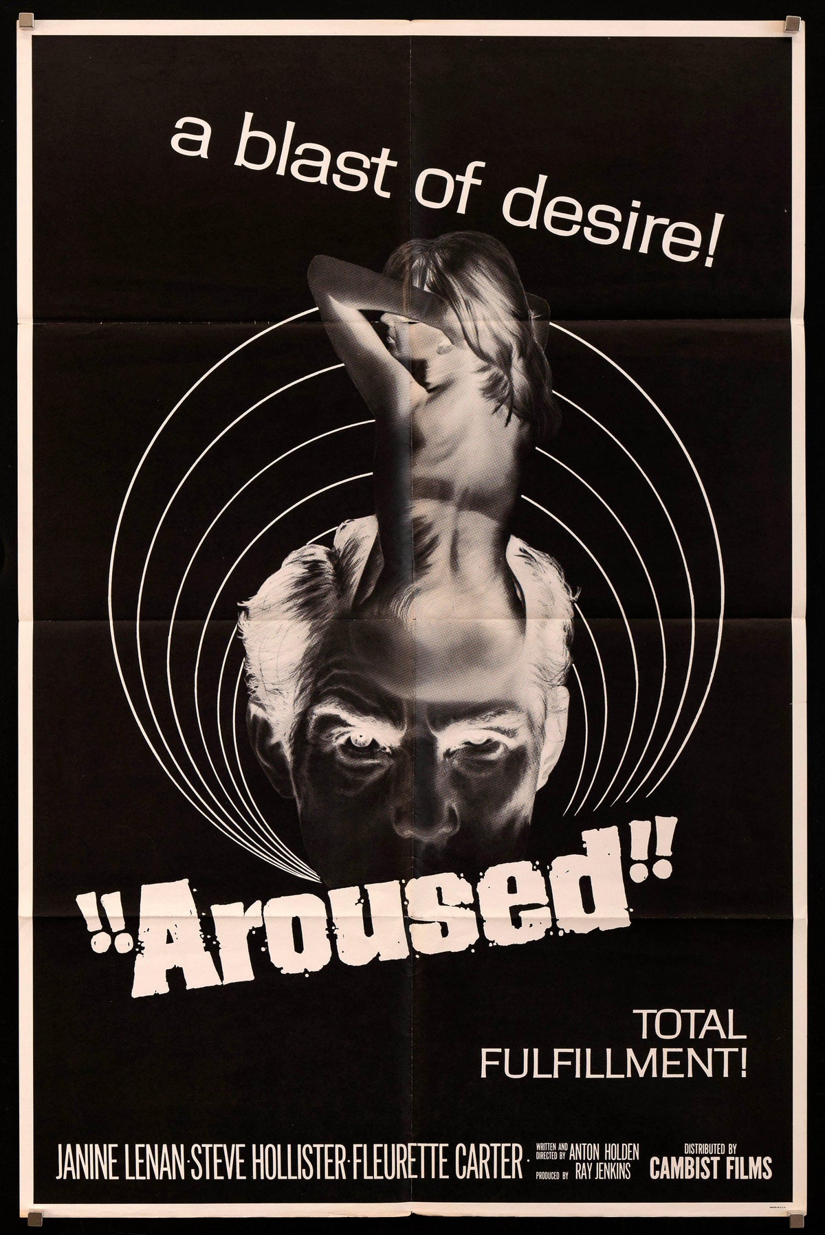 Aroused 1 Sheet (27x41) Original Vintage Movie Poster