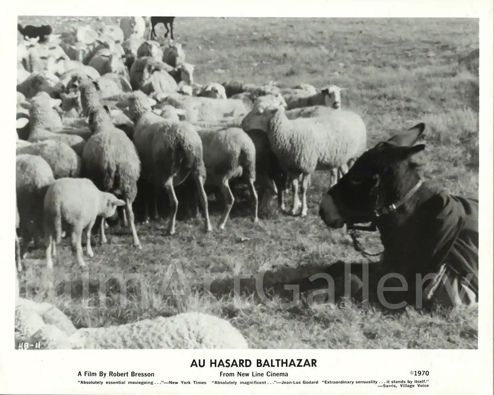 Au Hasard Balthazar Original Vintage Movie Poster