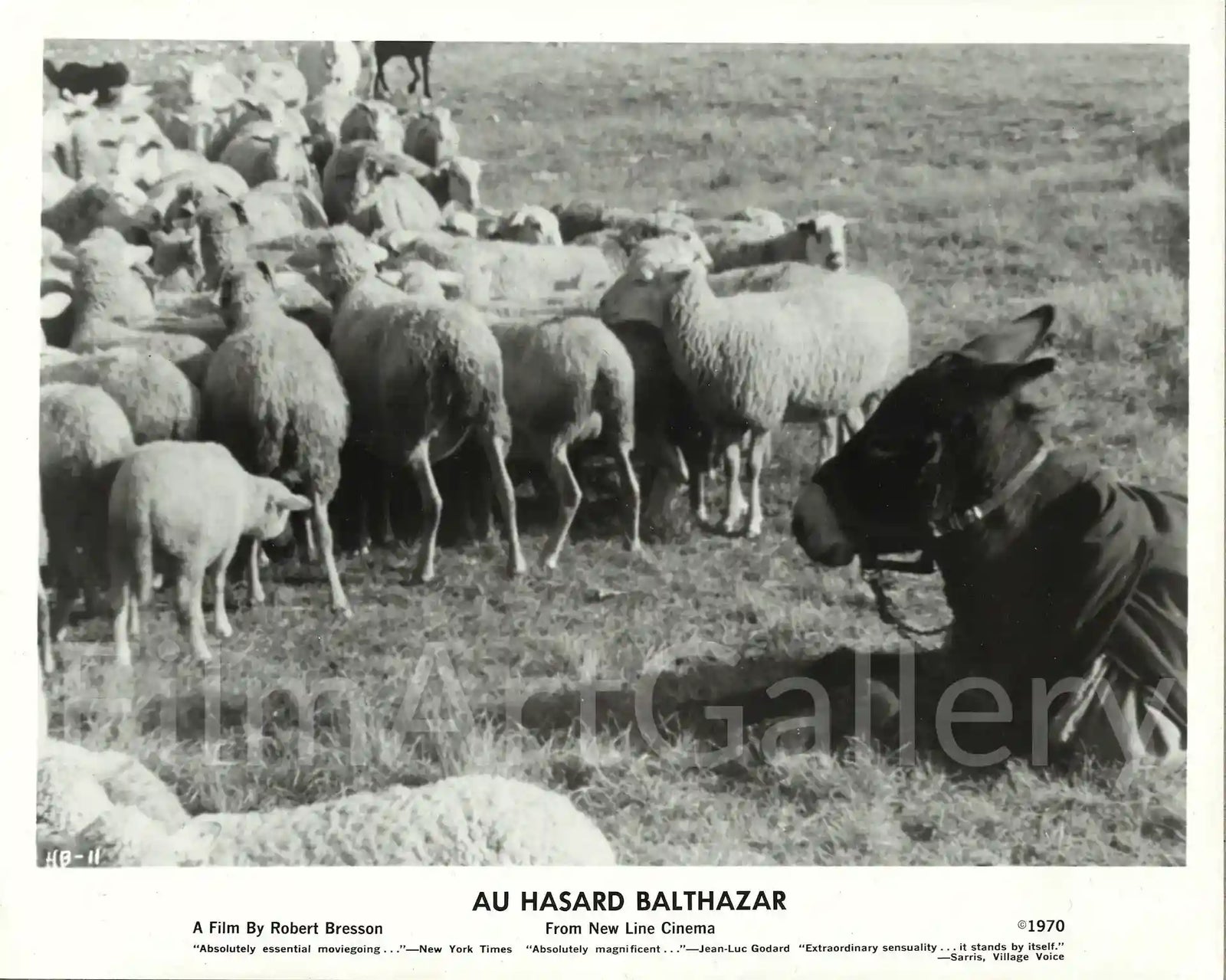 Au Hasard Balthazar Original Vintage Movie Poster