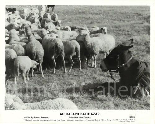 Au Hasard Balthazar Original Vintage Movie Poster