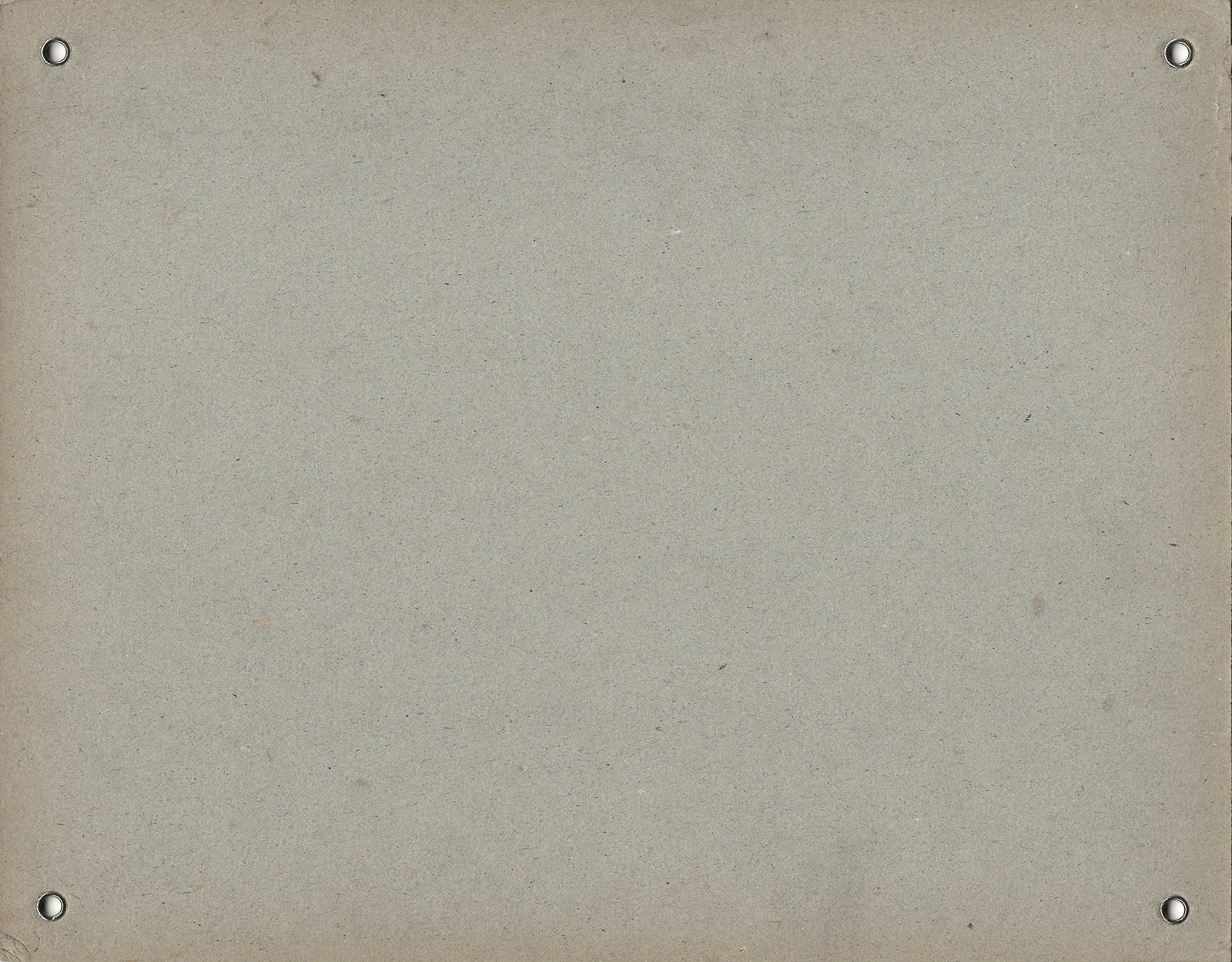 Belladonna Original Vintage Movie Poster