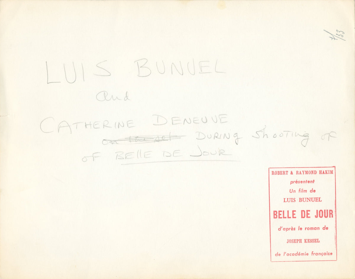 Belle de Jour Original Vintage Movie Poster