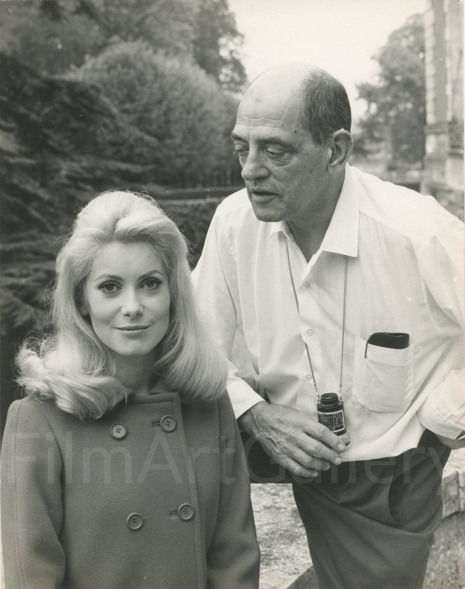 Belle de Jour Original Vintage Movie Poster