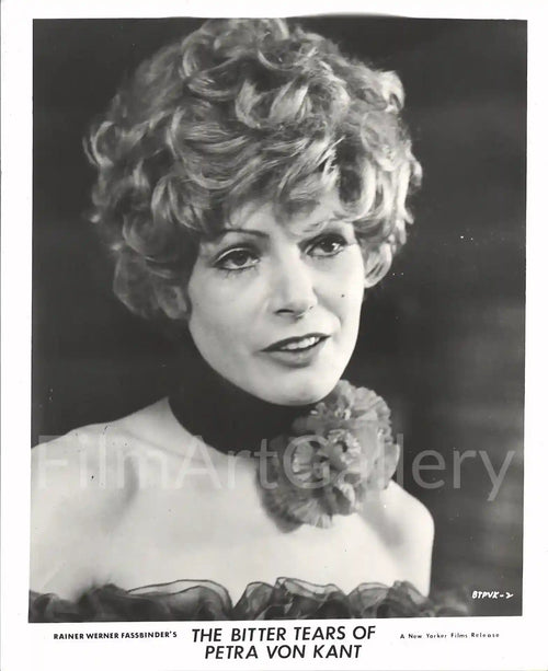 Bitter Tears of Petra von Kant Original Vintage Movie Poster