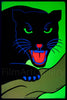 Black Panther 22x24 Original Vintage Movie Poster