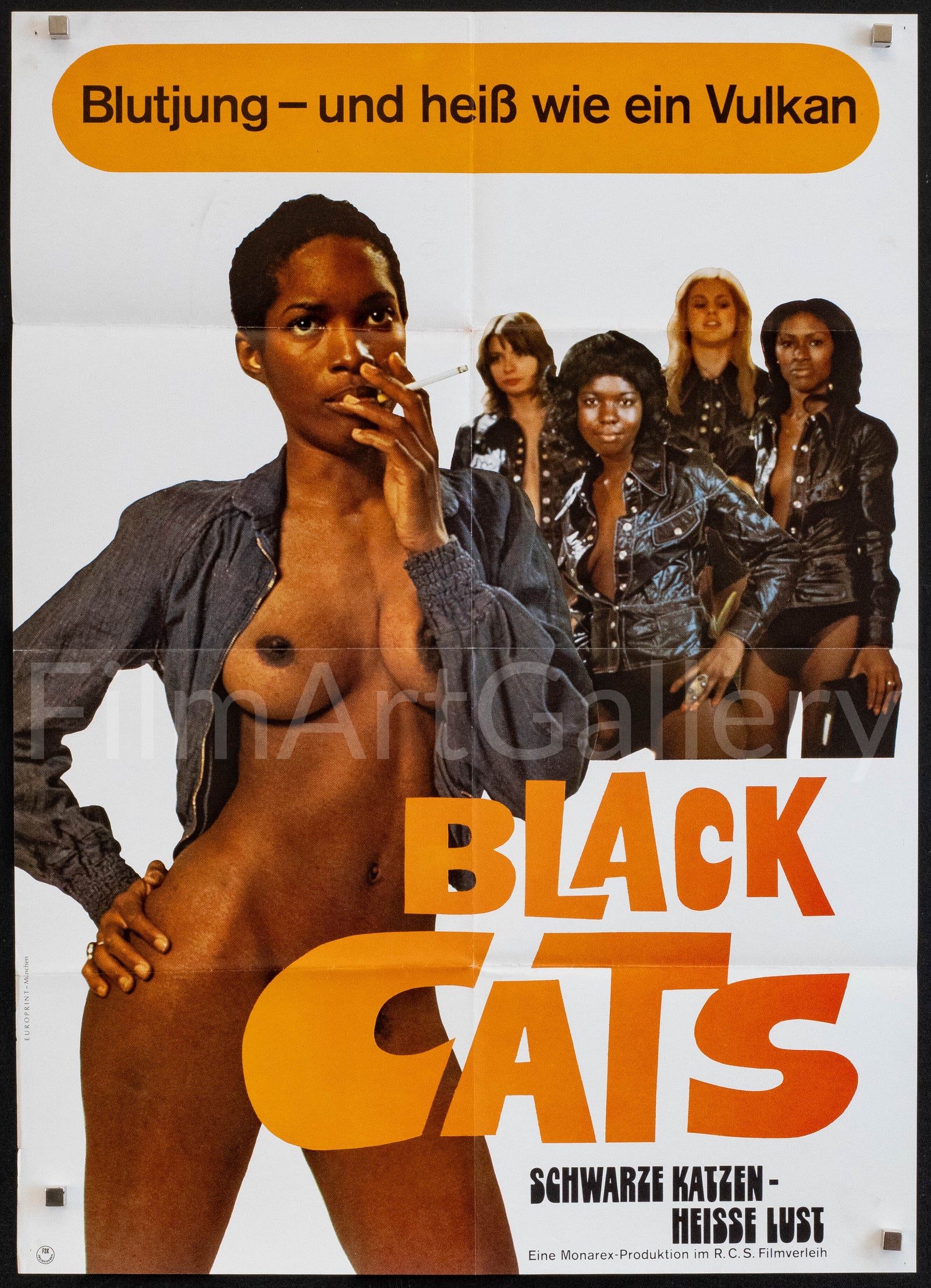 The Black Alley Cats