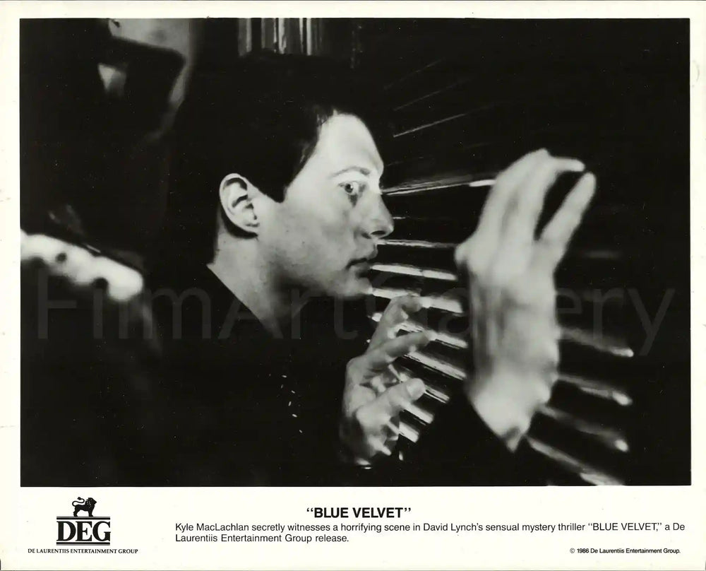 Blue Velvet Original Vintage Movie Poster