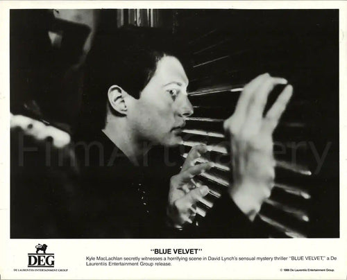 Blue Velvet Original Vintage Movie Poster