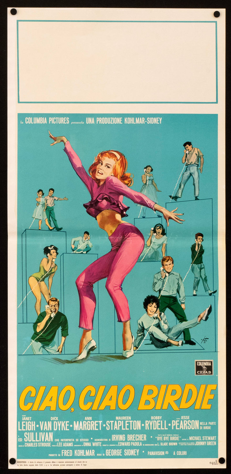 Bye Bye Birdie (Ciao Ciao Birdie) Italian Locandina (13x28) Original Vintage Movie Poster