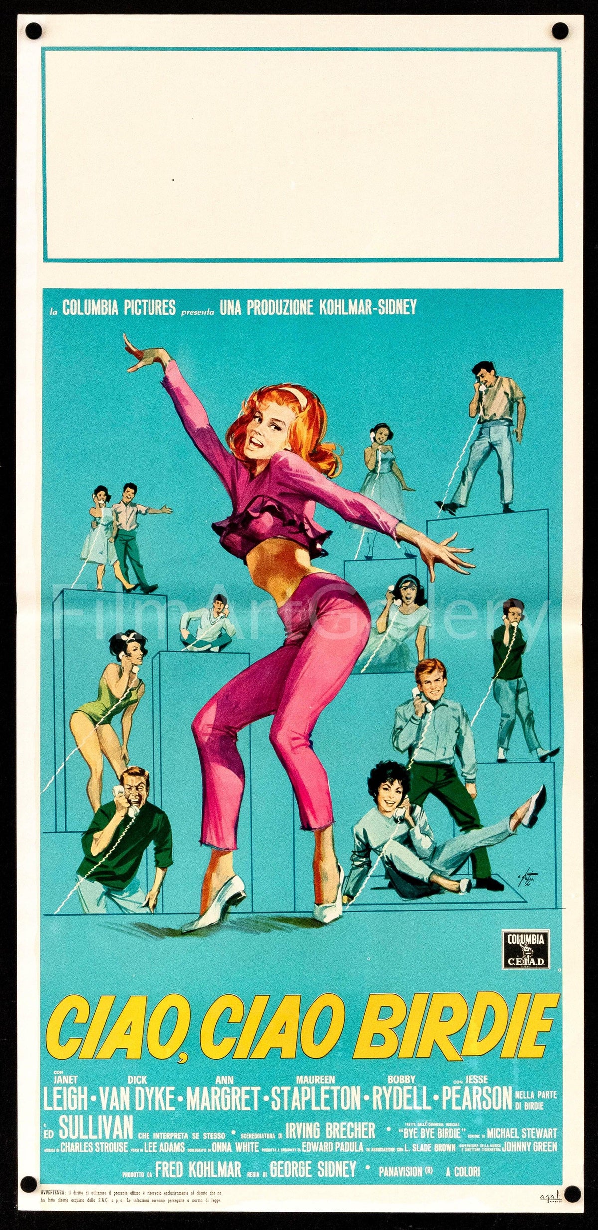 Bye Bye Birdie (Ciao Ciao Birdie) Original Vintage Movie Poster