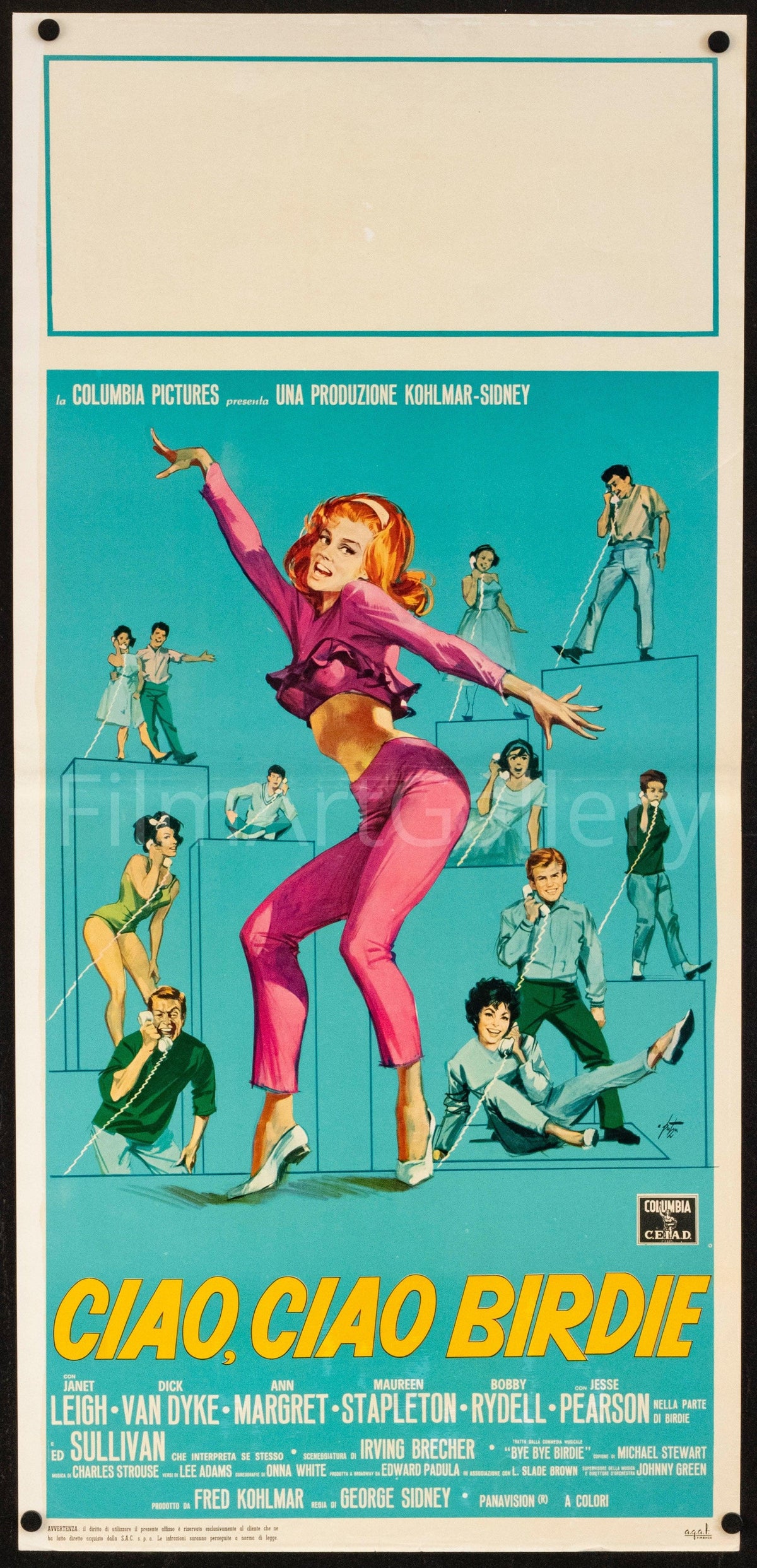 Bye Bye Birdie (Ciao Ciao Birdie) Original Vintage Movie Poster