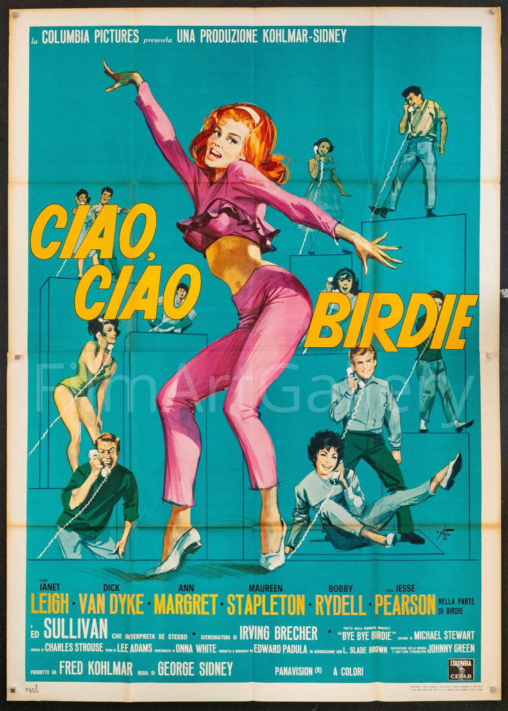 Bye Bye Birdie (Ciao Ciao Birdie) Original Vintage Movie Poster