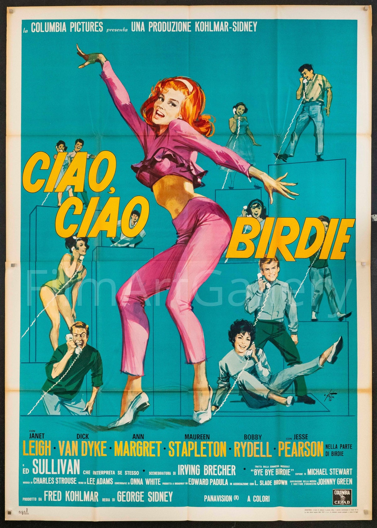 Bye Bye Birdie (Ciao Ciao Birdie) Original Vintage Movie Poster