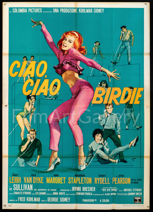 Bye Bye Birdie Original Vintage Movie Poster