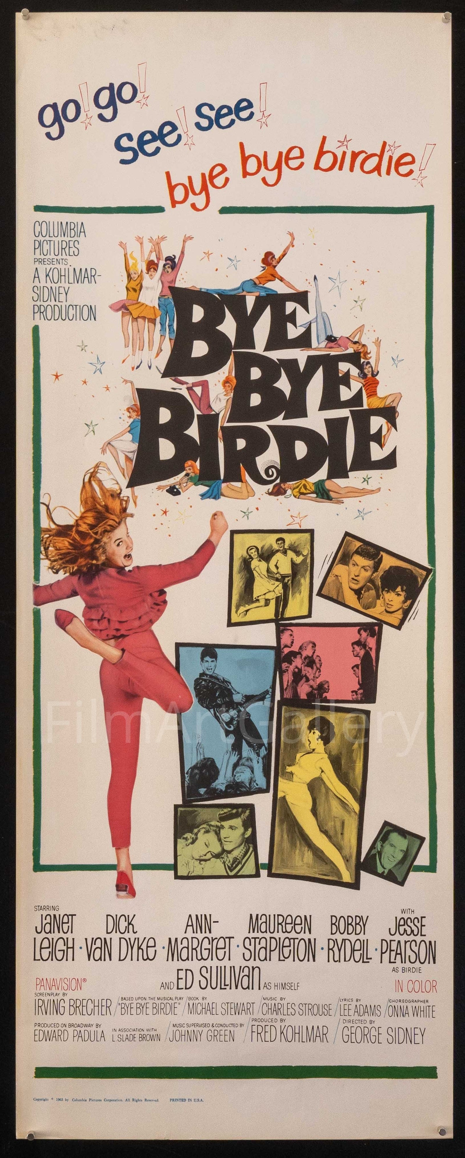 Bye Bye Birdie Original Vintage Movie Poster