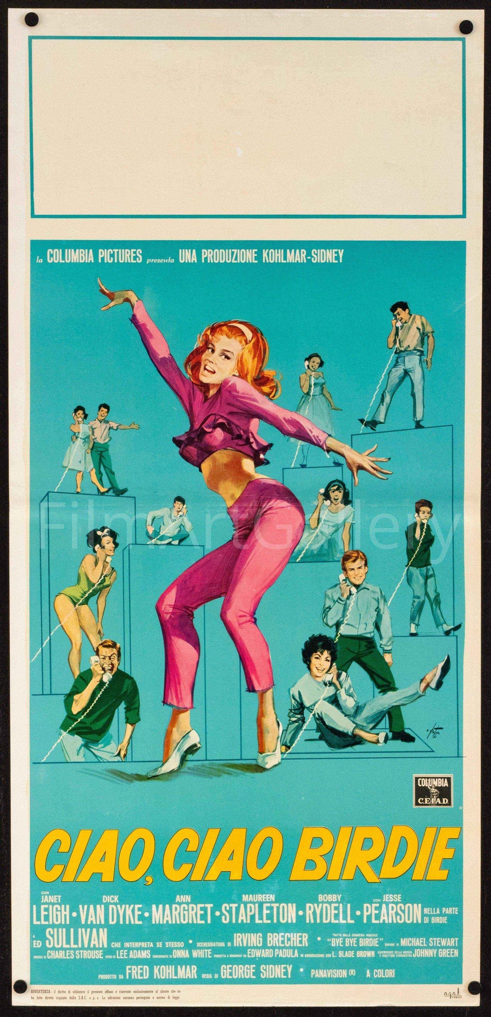 Bye Bye Birdie Original Vintage Movie Poster