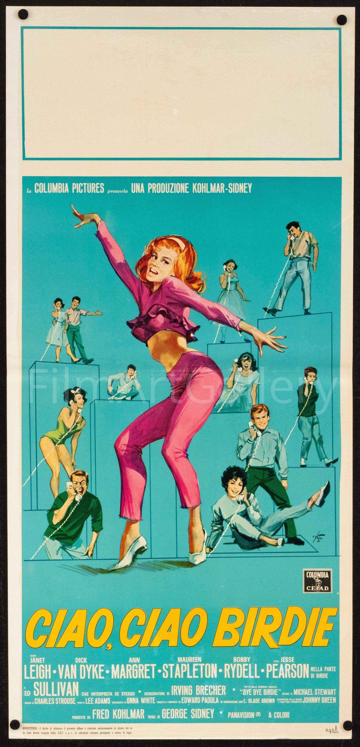Bye Bye Birdie Original Vintage Movie Poster