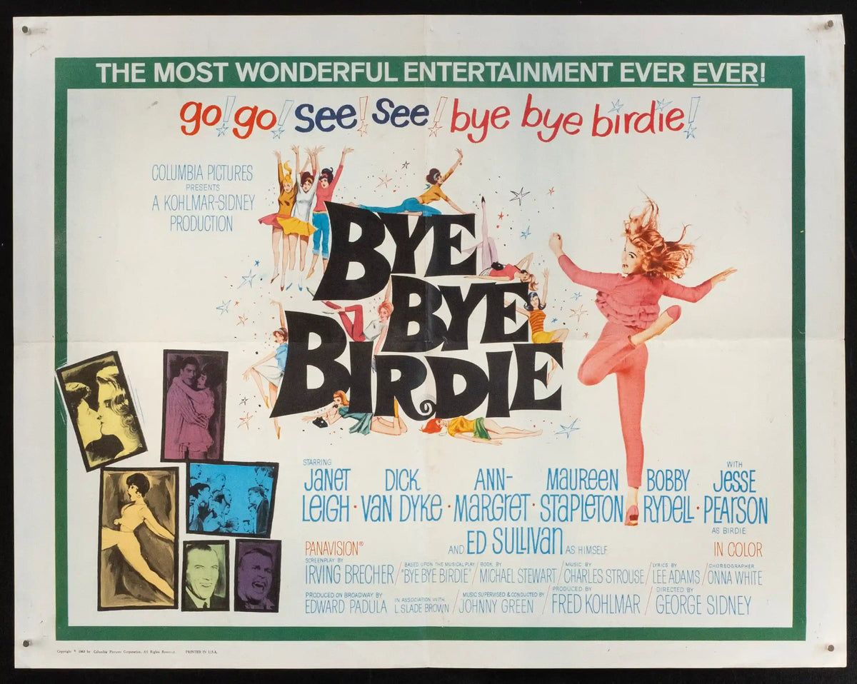 Bye Bye Birdie Original Vintage Movie Poster