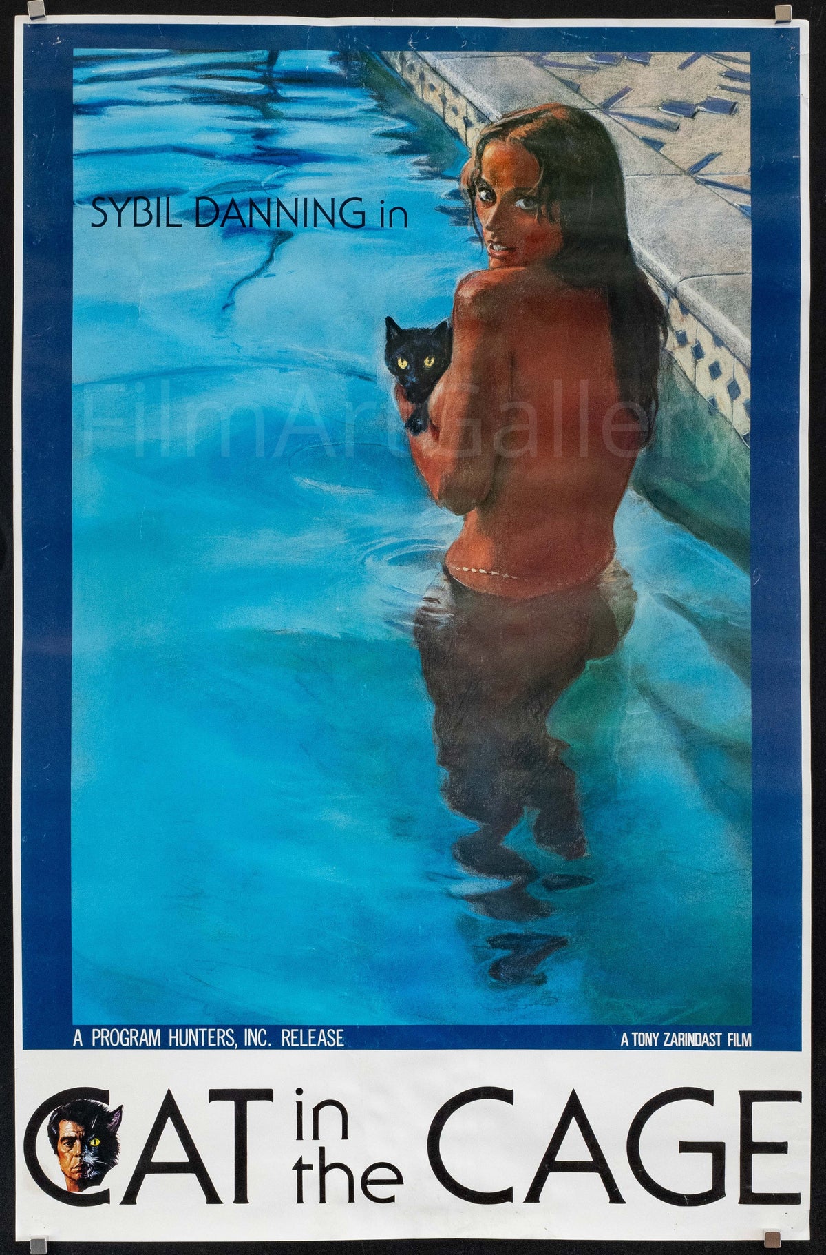 Cat in the Cage Original Vintage Movie Poster