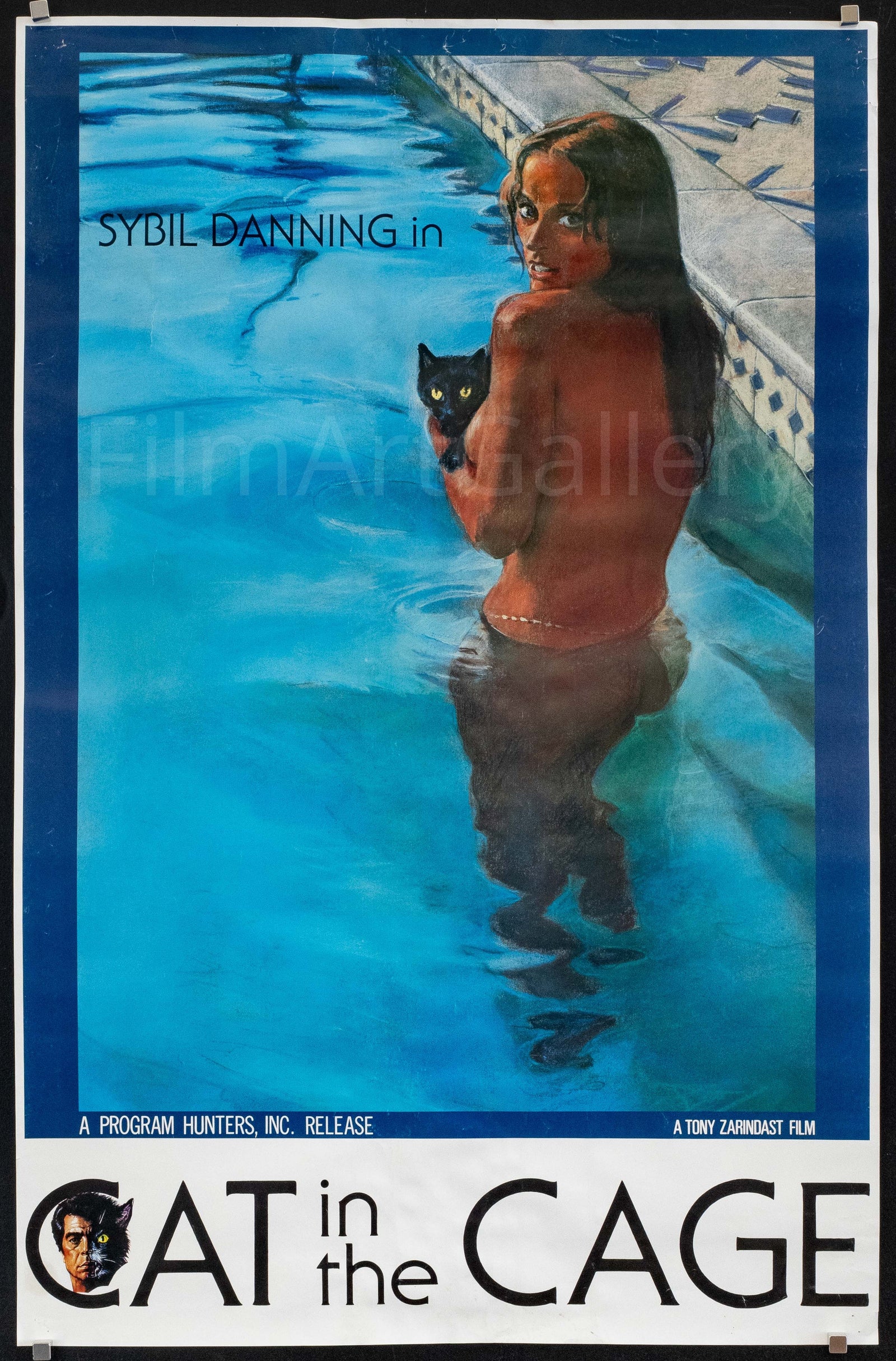 Cat in the Cage Original Vintage Movie Poster