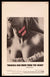 Dracula Has Risen from the Grave Original Vintage Movie Poster