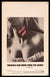 Dracula Has Risen from the Grave Original Vintage Movie Poster