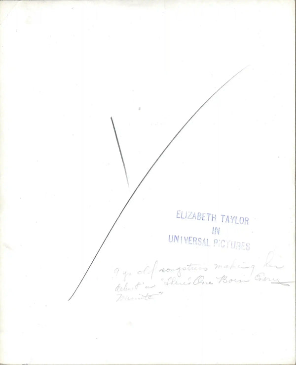 Elizabeth Taylor Original Vintage Movie Poster