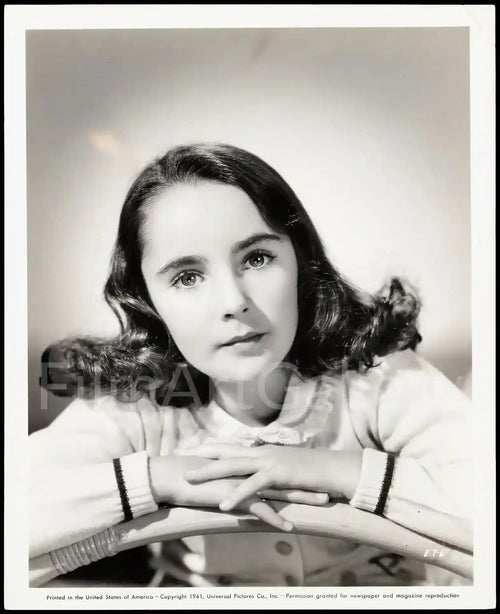 Elizabeth Taylor Original Vintage Movie Poster