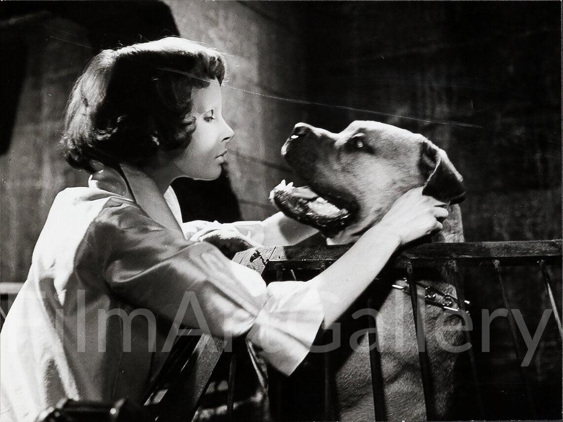 Eyes Without a Face (Les Yeux Sans Visage) Original Vintage Movie Poster