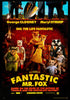 Fantastic Mr. Fox Original Vintage Movie Poster