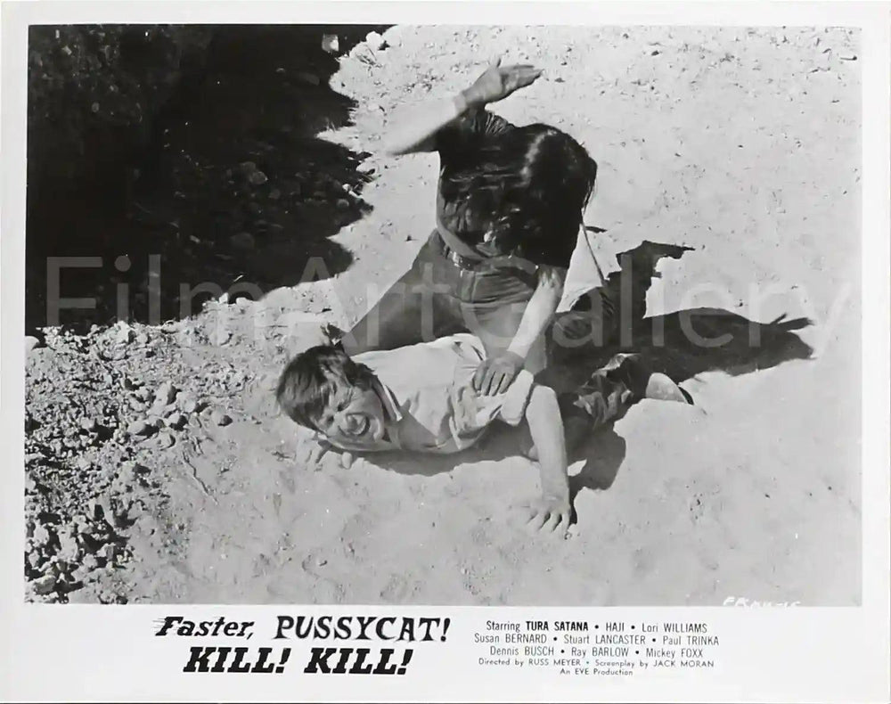 Faster Pussycat! Kill! Kill! Original Vintage Movie Poster