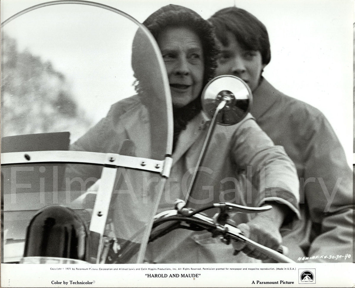 Harold and Maude Original Vintage Movie Poster