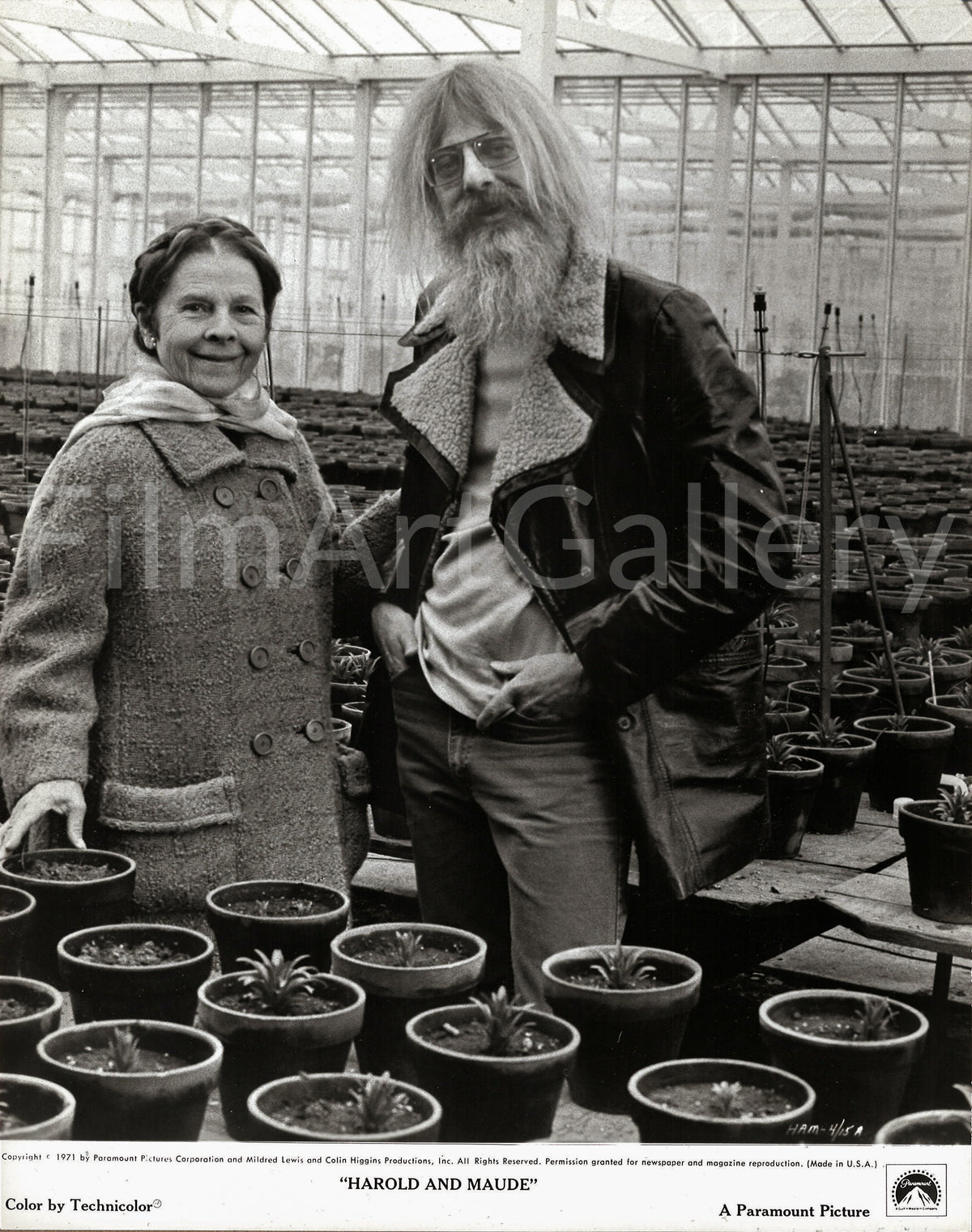 Harold and Maude Original Vintage Movie Poster