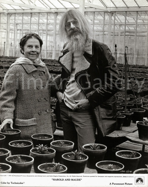 Harold and Maude Original Vintage Movie Poster