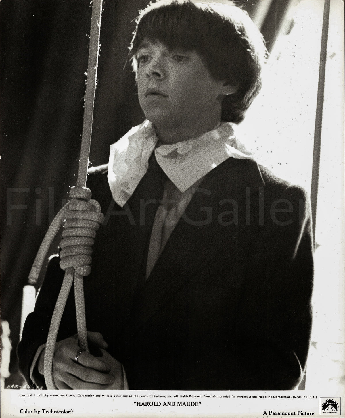 Harold and Maude Original Vintage Movie Poster