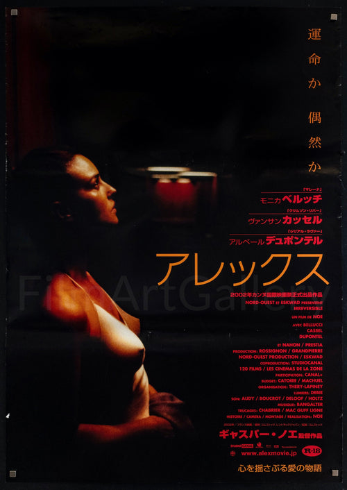 Irreversible Original Vintage Movie Poster