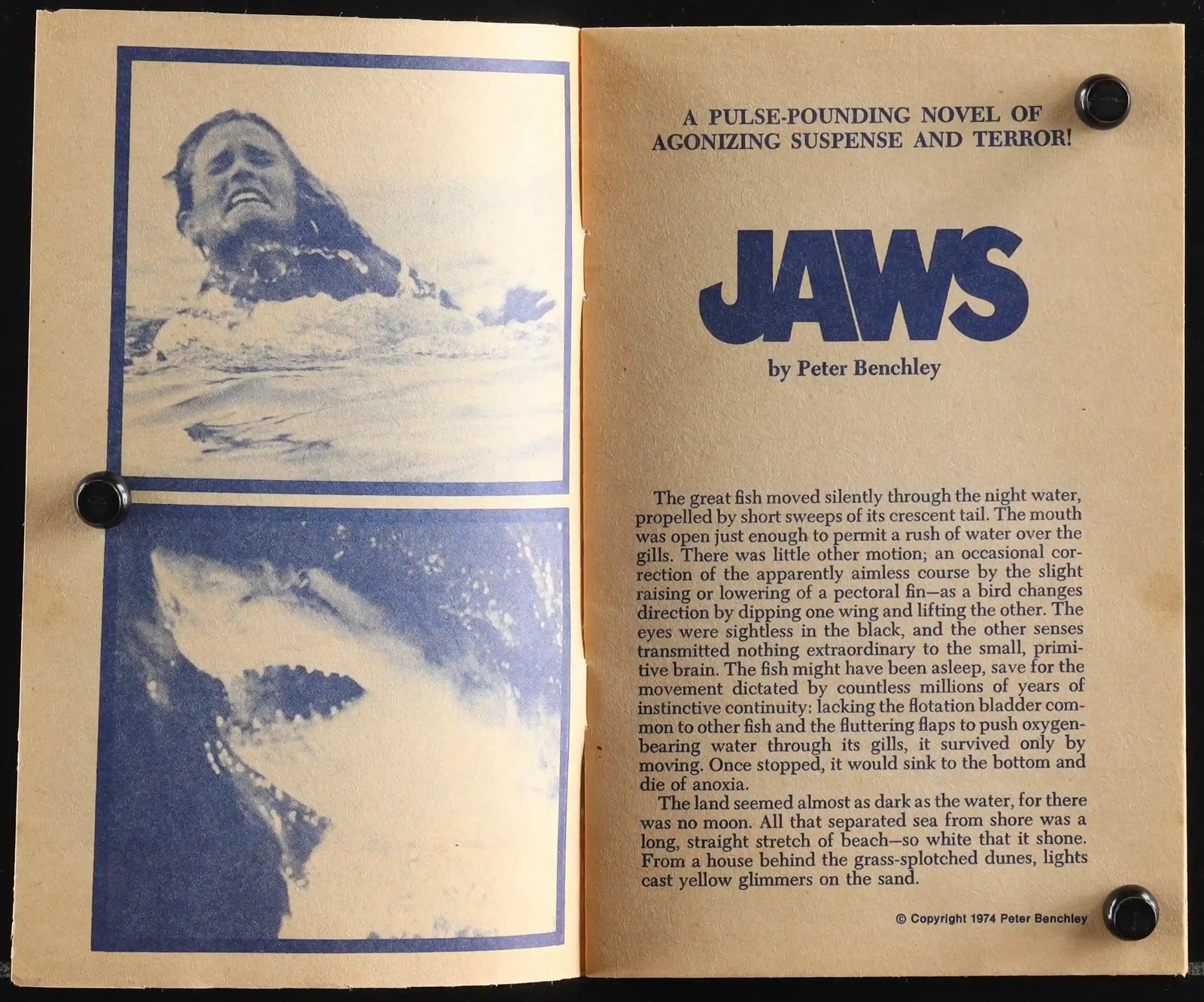Jaws Original Vintage Movie Poster
