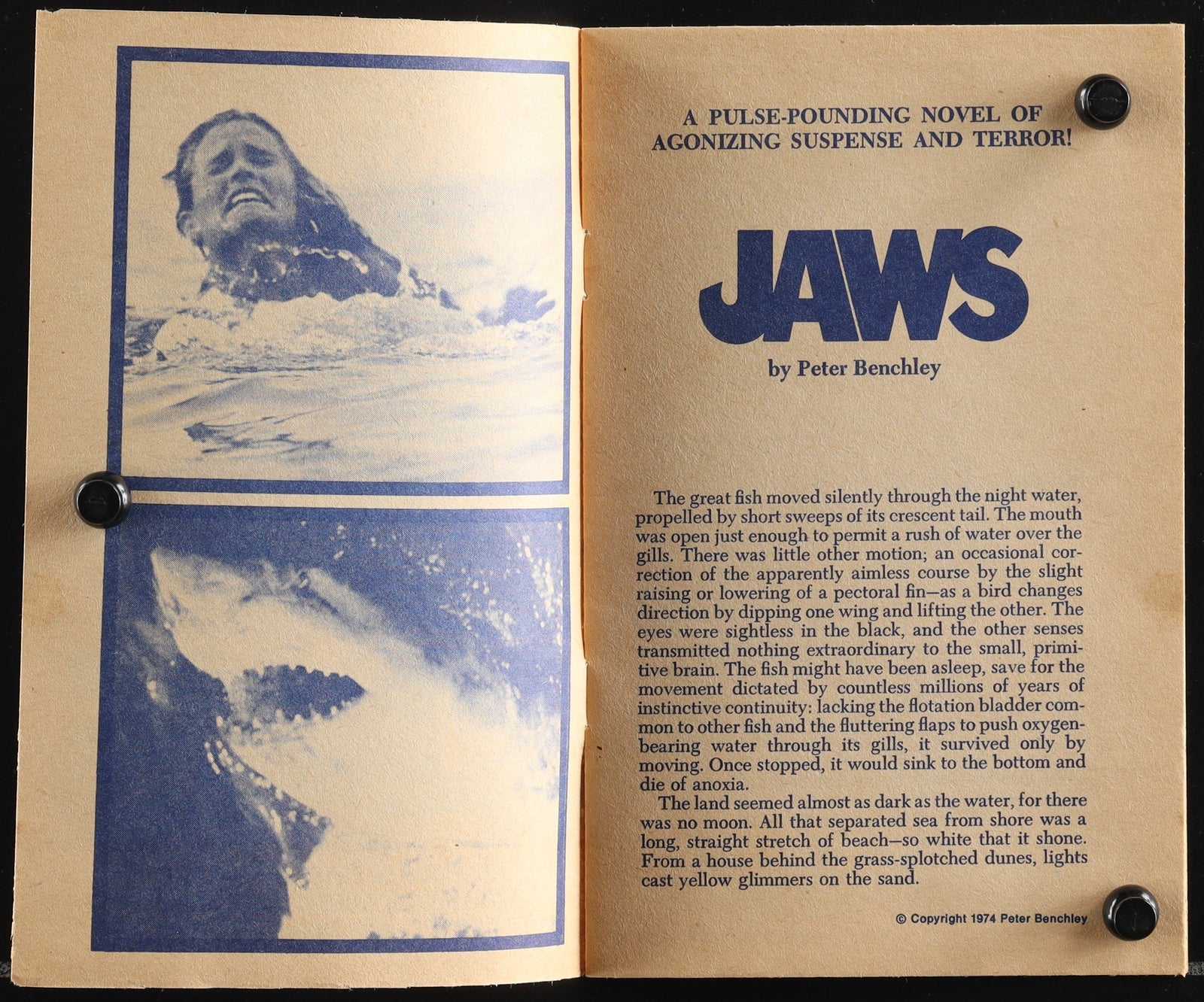 Jaws Original Vintage Movie Poster