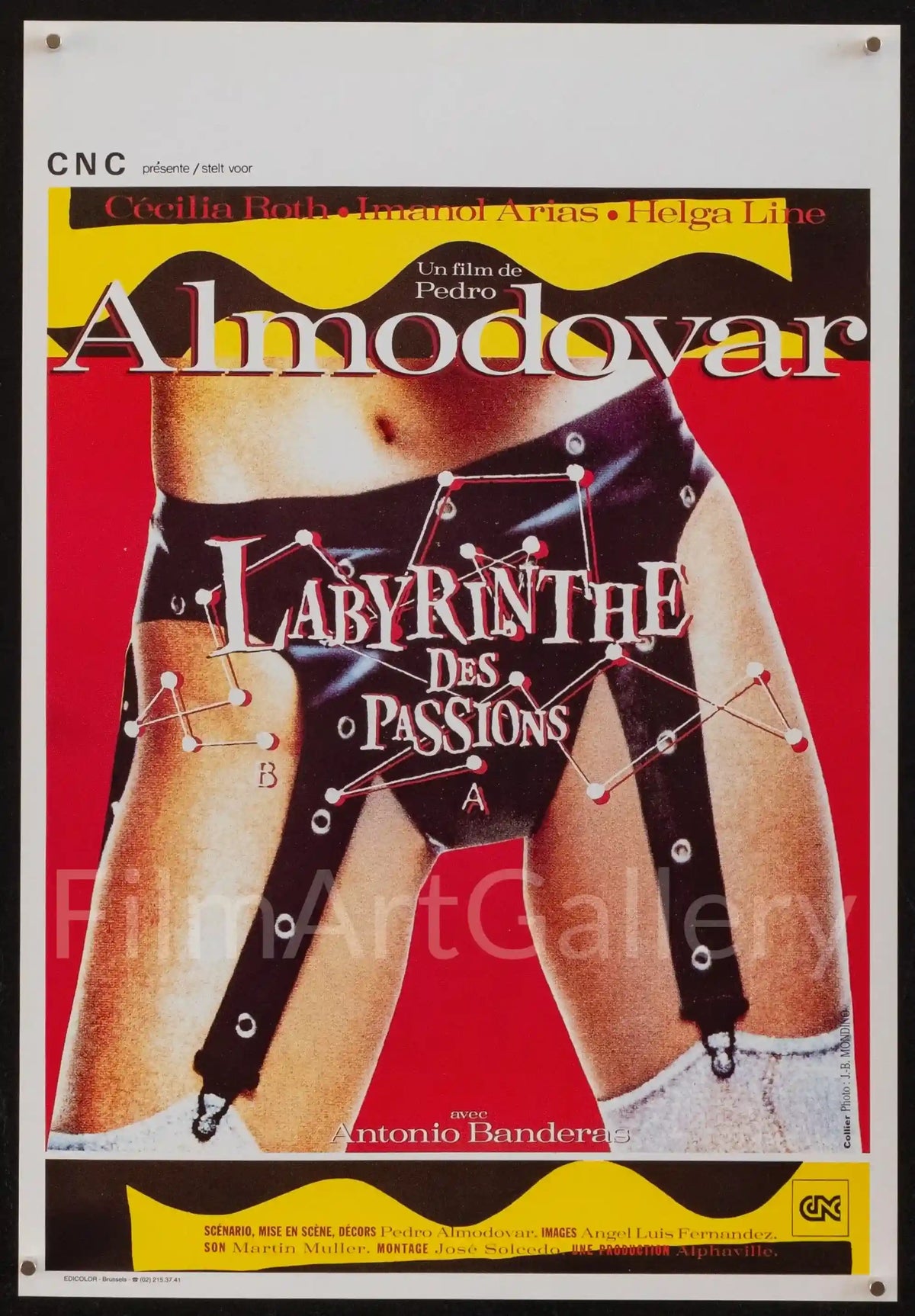 Labyrinth of Passion Original Vintage Movie Poster