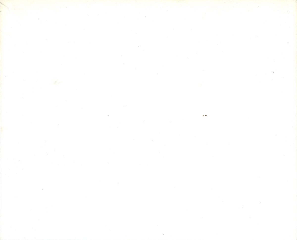 Lonesome Cowboys Original Vintage Movie Poster